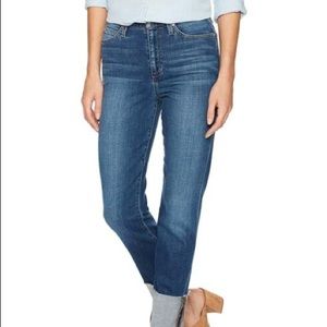 Never Worn Joe’s Jeans Debbie High Rise Boyfriend